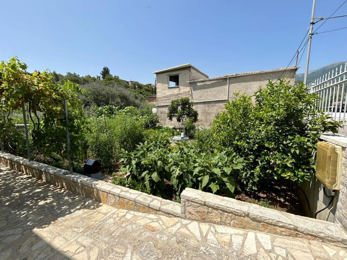 Garden Holiday Studios Himare Exterior photo